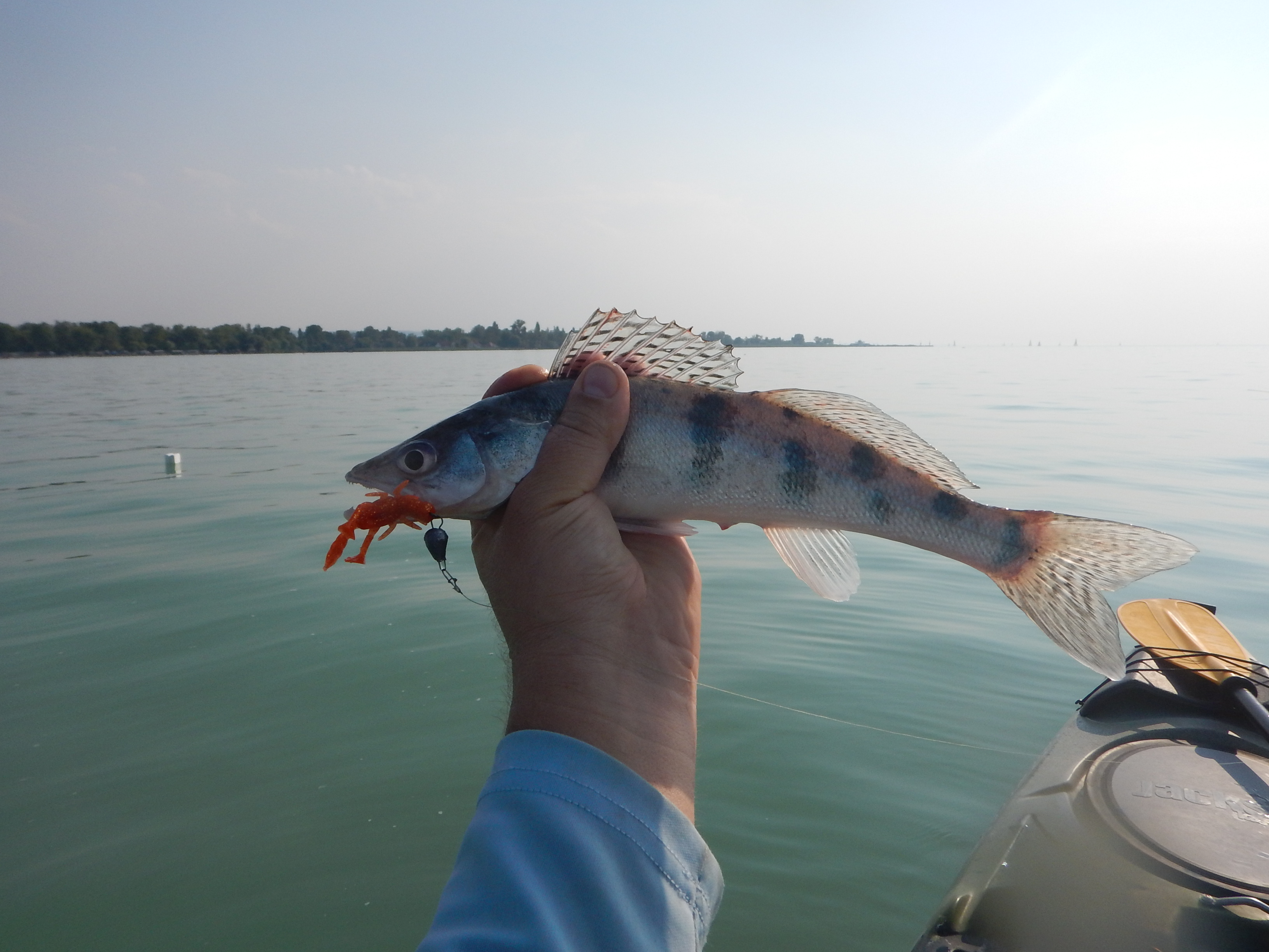 Kajakos kősüllő Balatonból